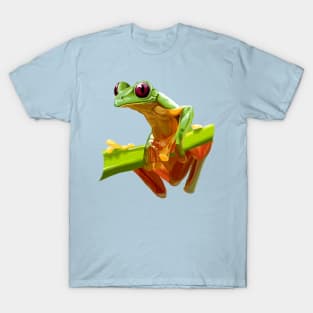 Tree Frog T-Shirt